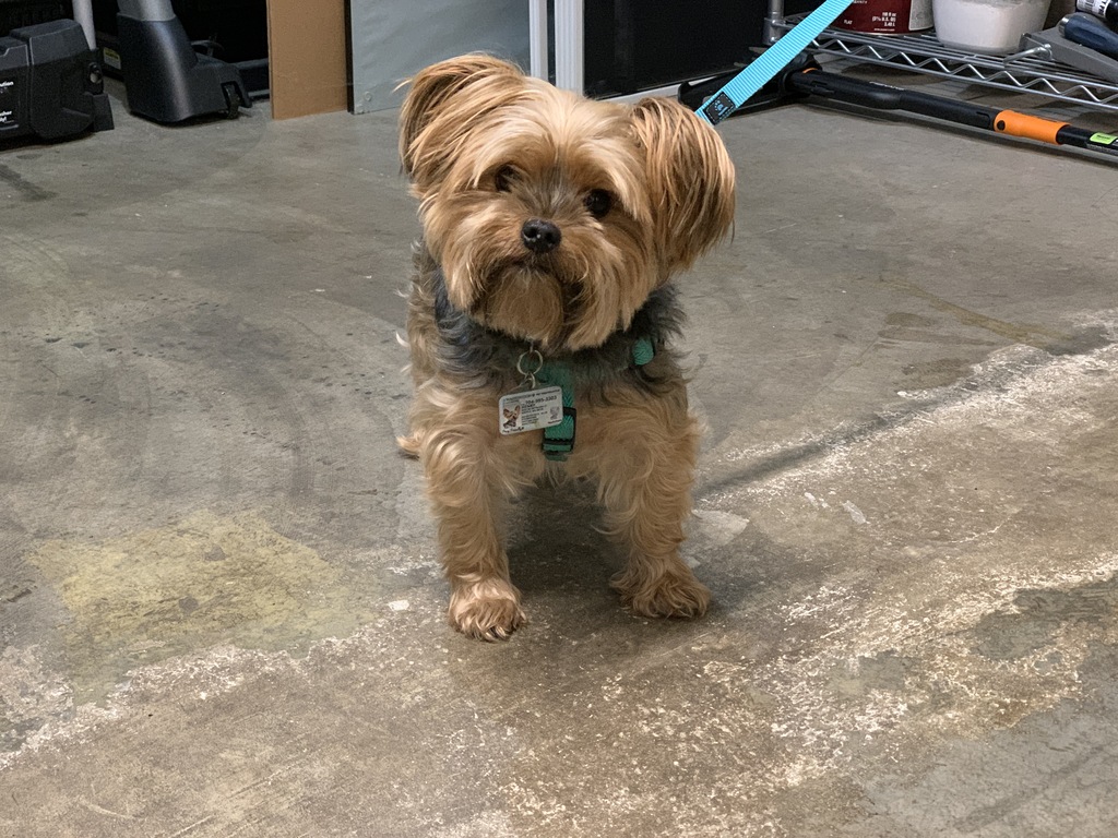 Henry Kamichoff: images/0CC1ABD2-0D52-487D-B8E3-F9E8F1F91718.jpg