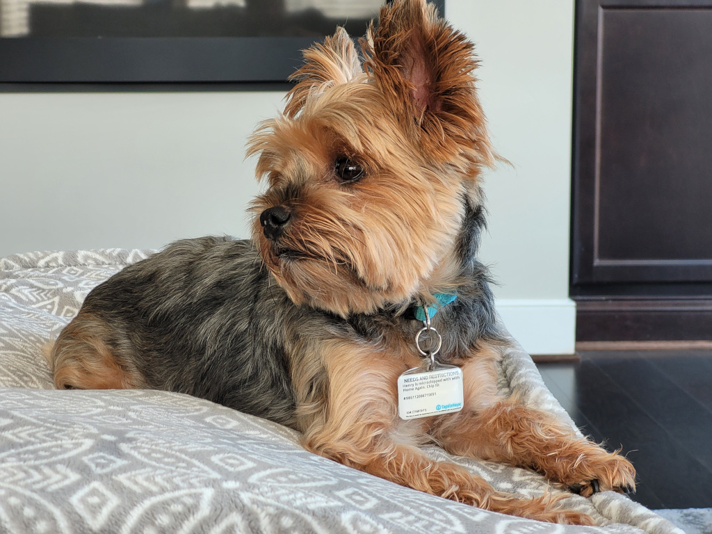 Henry Kamichoff: images/0d8jasdf98us.jpg