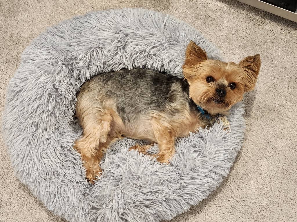 Henry Kamichoff: images/20230125_130133-sm.jpg