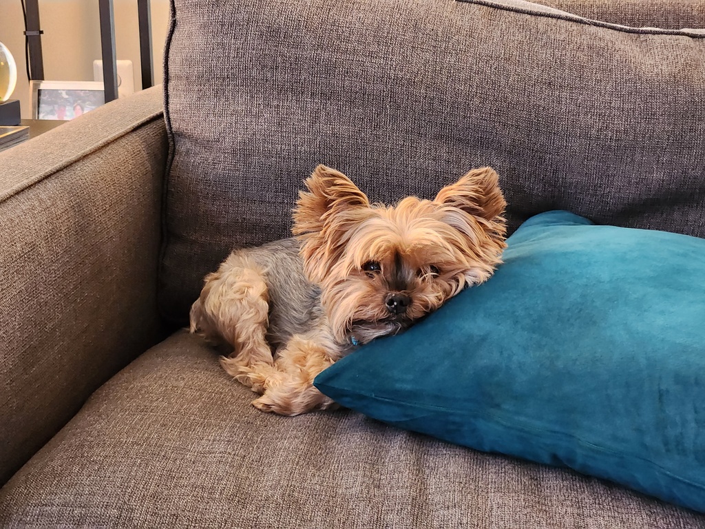 Henry Kamichoff: images/20230423_193032_0.jpg