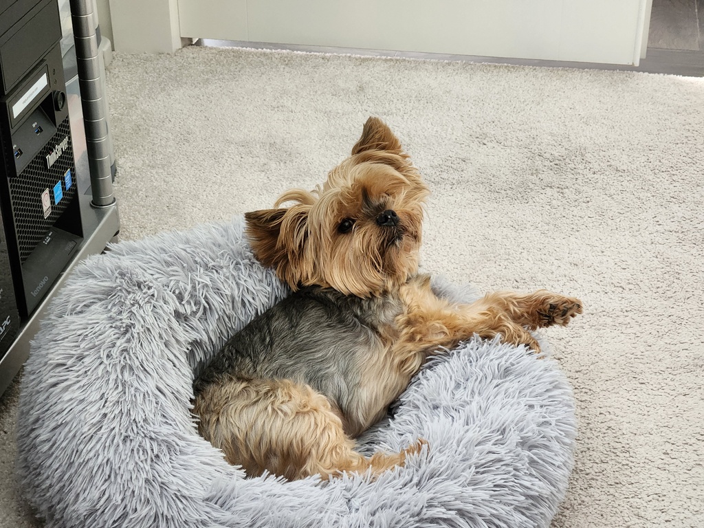 Henry Kamichoff: images/20230427_111614_0.jpg