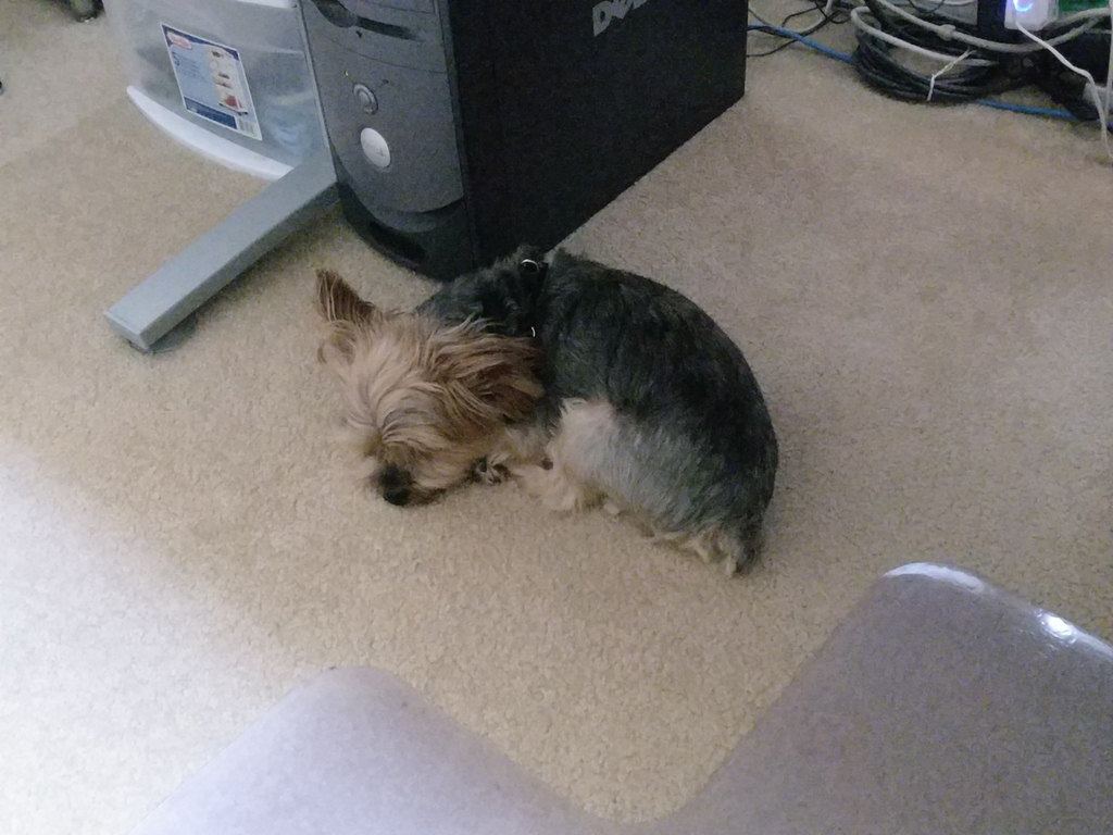 Henry Kamichoff: images/CameraZOOM-20180808144655994.jpg