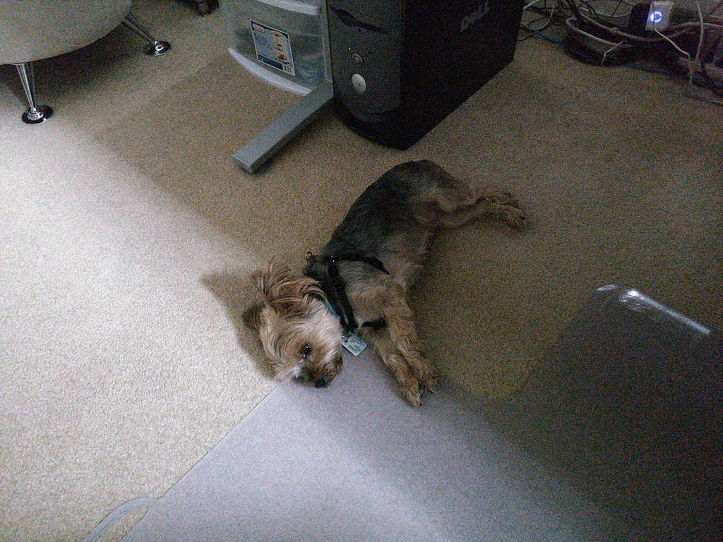 Henry Kamichoff: images/CameraZOOM-20180808165220772.jpg