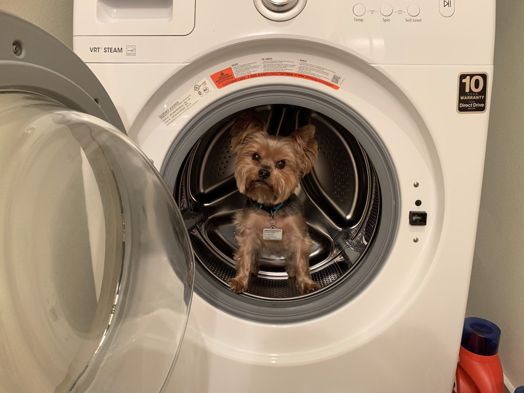 Henry Kamichoff: images/IMG_0507.jpg