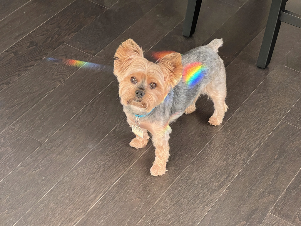 Henry Kamichoff: images/IMG_0545_0.jpg