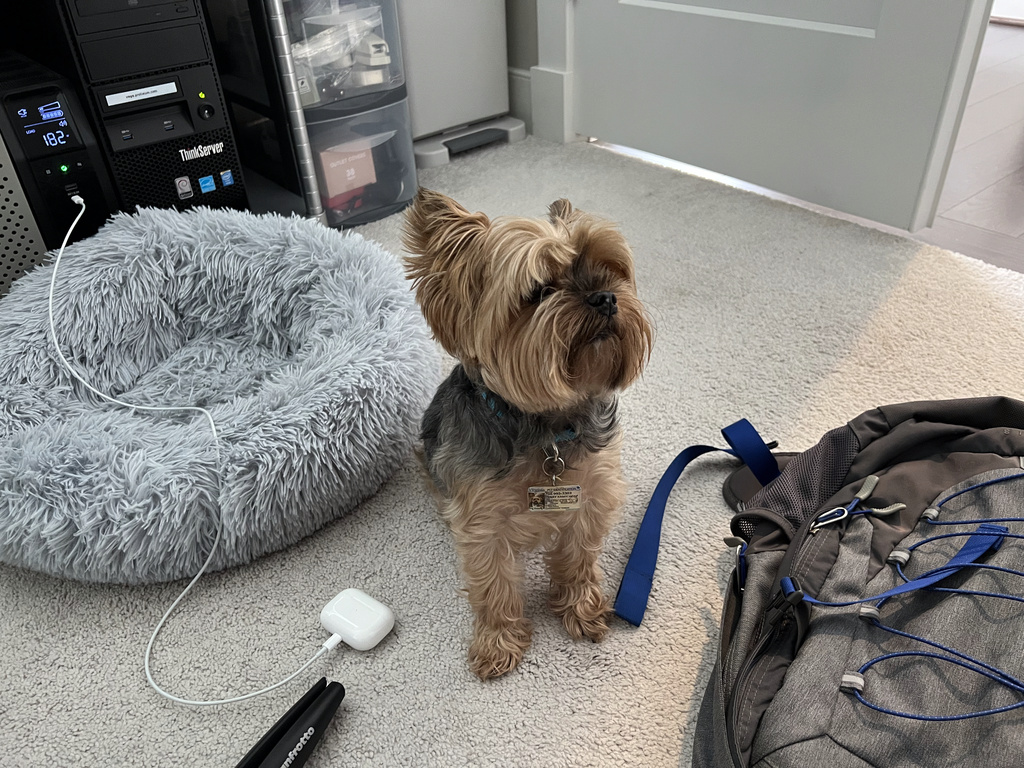 Henry Kamichoff: images/IMG_0744_0.jpg