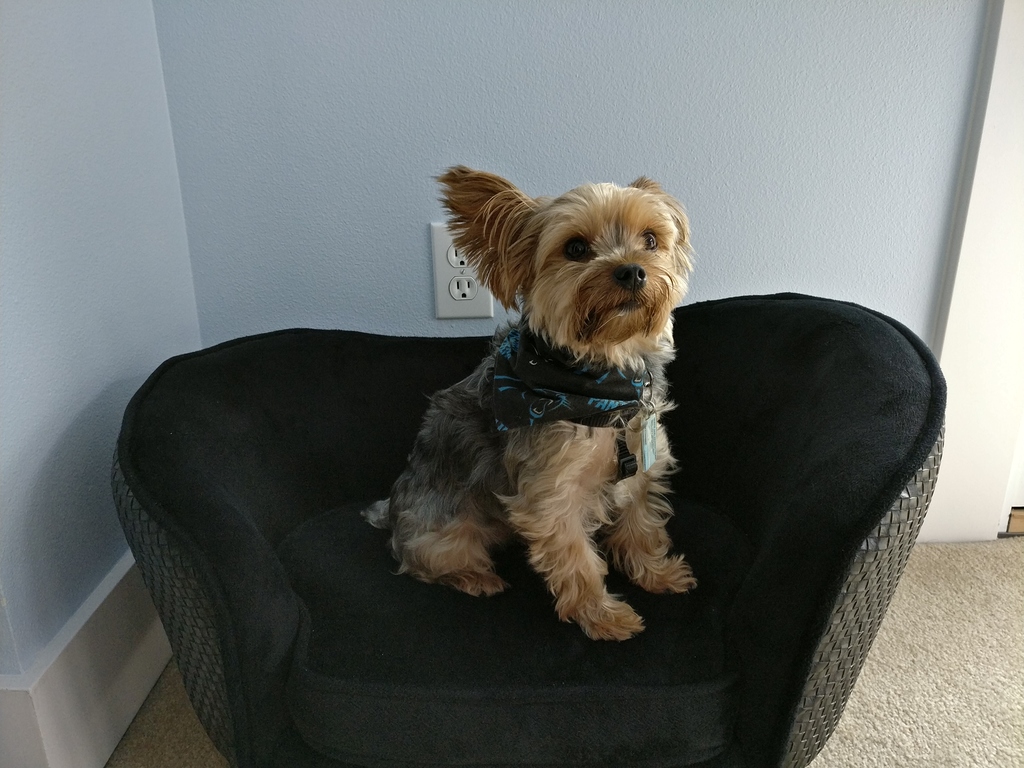 Henry Kamichoff: images/IMG_20170930_100639.jpg