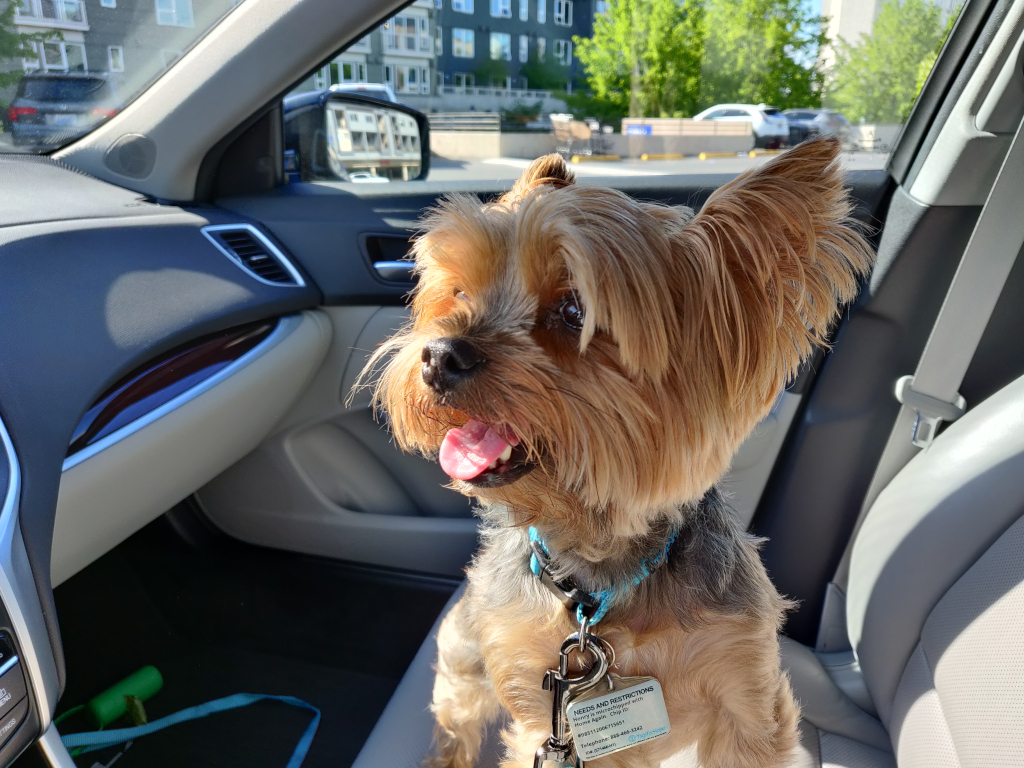 Henry Kamichoff: images/IMG_20210502_163120.jpg