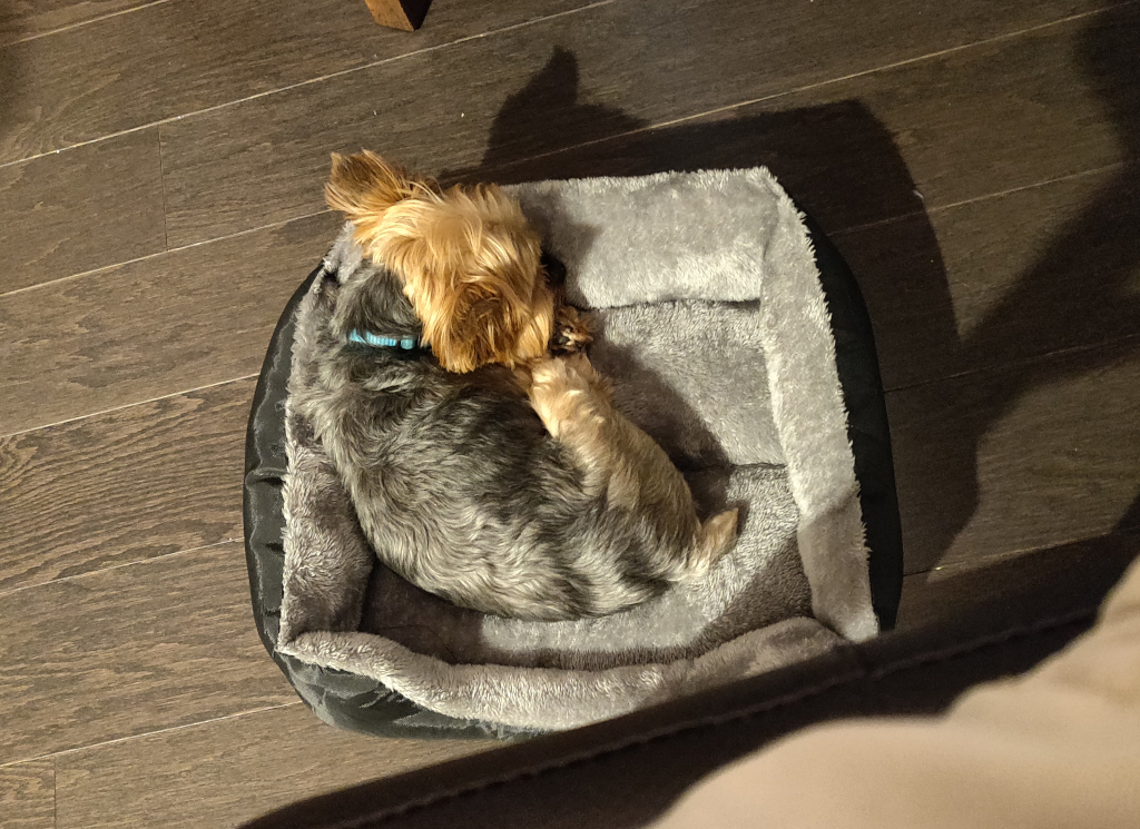 Henry Kamichoff: images/IMG_20210626_223051.jpg