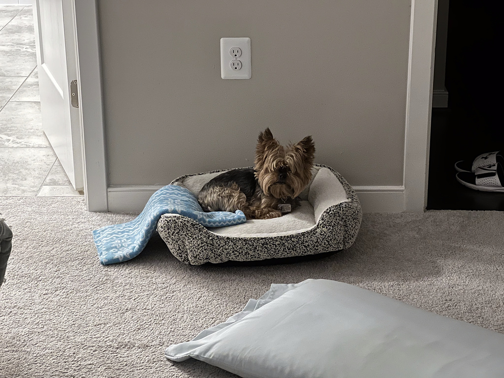 Henry Kamichoff: images/IMG_2204.jpg