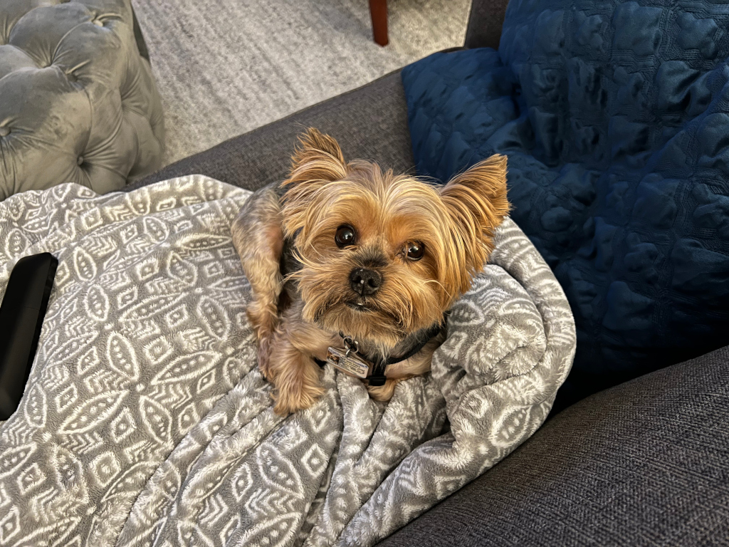 Henry Kamichoff: images/IMG_2247.jpg