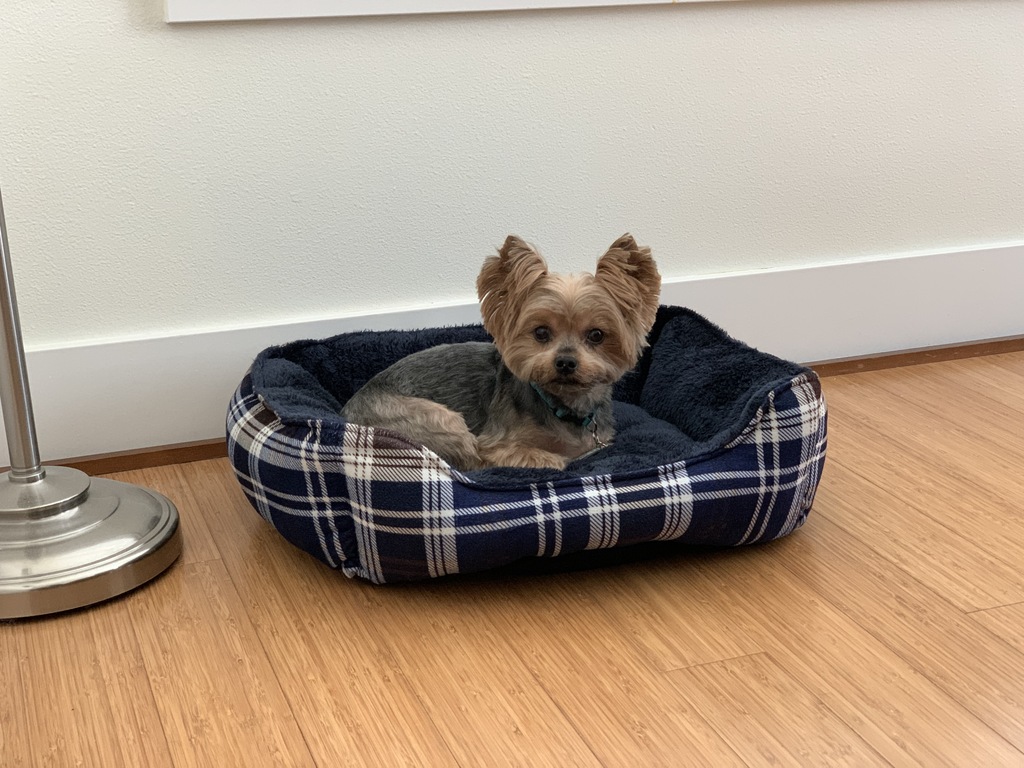 Henry Kamichoff: images/IMG_2583.jpg