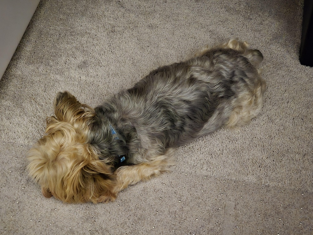 Henry Kamichoff: images/hen23987.jpg