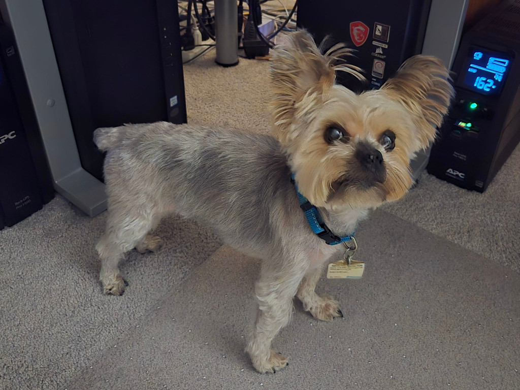 Henry Kamichoff: images/hendsf89shjdf.jpg