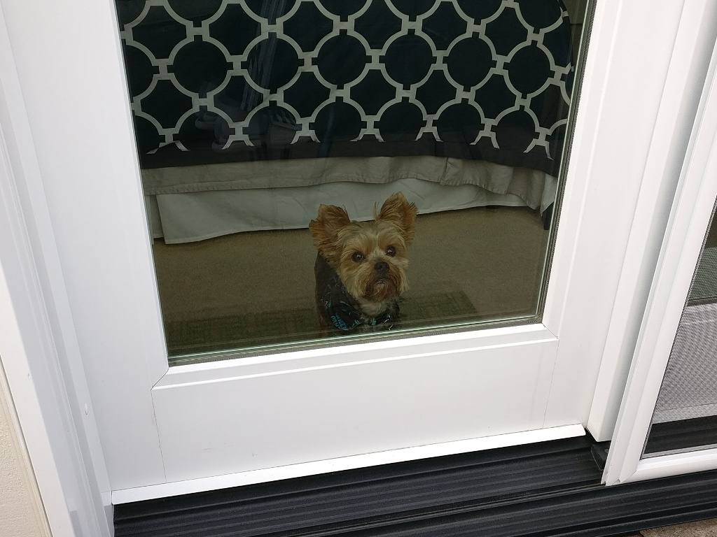 Henry Kamichoff: images/henry-a.jpg