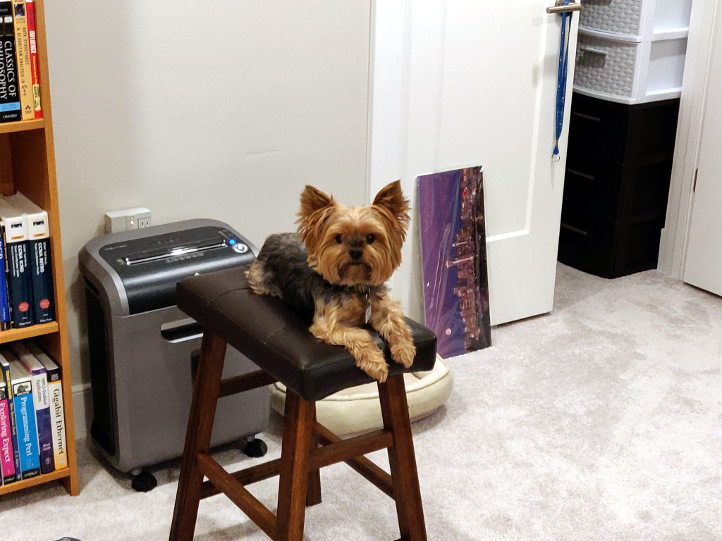 Henry Kamichoff: images/sdf78hsdfhd7.jpg